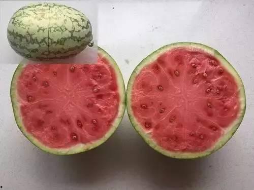 科技大免费吃瓜,揭秘大企业背后的“吃瓜”秘密